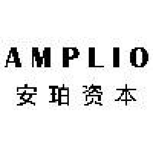 Amplio Capital 安珀资本研究院